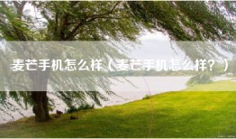 麦芒手机怎么样（麦芒手机怎么样？）