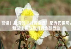 警惕！所谓的“消费全返”是庞氏骗局，新型诈骗危及消费金融行业