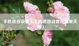 手机语音设置（手机语音设置在哪里关闭）