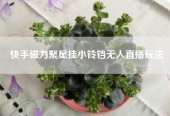 快手磁力聚星挂小铃铛无人直播玩法