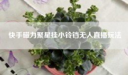 快手磁力聚星挂小铃铛无人直播玩法