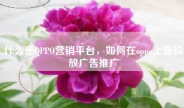 什么是OPPO营销平台，如何在oppo上面投放广告推广