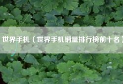 世界手机（世界手机销量排行榜前十名）
