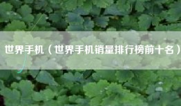 世界手机（世界手机销量排行榜前十名）