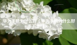 华为手机为什么好（华为手机为什么好多不支持5G）
