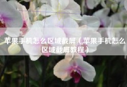 苹果手机怎么区域截屏（苹果手机怎么区域截屏教程）