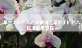 苹果手机怎么区域截屏（苹果手机怎么区域截屏教程）