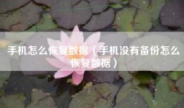 手机怎么恢复数据（手机没有备份怎么恢复数据）