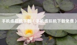 手机虚拟机下载（手机虚拟机下载免费）