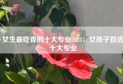 女生最吃香的十大专业2023：女孩子首选十大专业