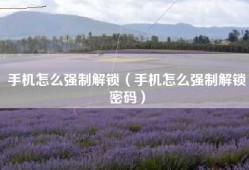 手机怎么强制解锁（手机怎么强制解锁密码）