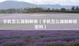 手机怎么强制解锁（手机怎么强制解锁密码）