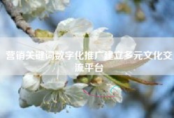 营销关键词数字化推广建立多元文化交流平台