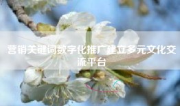 营销关键词数字化推广建立多元文化交流平台