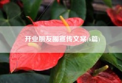 开业朋友圈宣传文案(6篇)