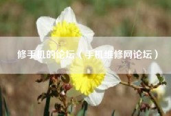 修手机的论坛（手机维修网论坛）