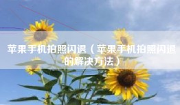 苹果手机拍照闪退（苹果手机拍照闪退的解决方法）