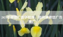 2024年微信广告小程序，如何做微信广告推广