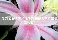 飞利浦老人手机（飞利浦老人手机音量怎么调）