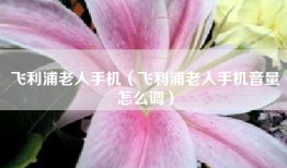 飞利浦老人手机（飞利浦老人手机音量怎么调）