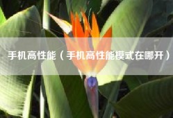 手机高性能（手机高性能模式在哪开）
