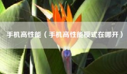 手机高性能（手机高性能模式在哪开）