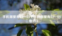 手机哪里有扫一扫（手机哪里有扫一扫二维码）