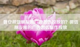 磐安微信朋友圈广告怎么投放的？微信朋友圈的广告怎么制作投放