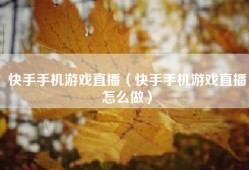 快手手机游戏直播（快手手机游戏直播怎么做）