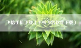 飞信手机下载（手机飞信软件下载）