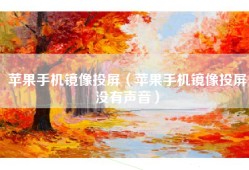 苹果手机镜像投屏（苹果手机镜像投屏没有声音）