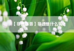 【非遗科普】非遗是什么呢？
