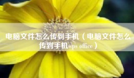 电脑文件怎么传到手机（电脑文件怎么传到手机wps office）