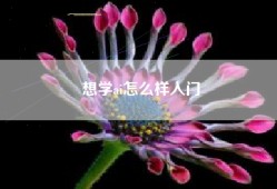 想学ai怎么样入门