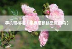 手机砸核桃（手机砸核桃是真的吗）