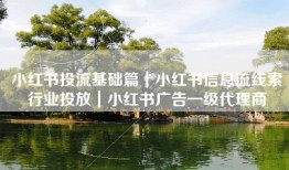 小红书投流基础篇｜小红书信息流线索行业投放｜小红书广告一级代理商