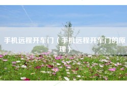 手机远程开车门（手机远程开车门的原理）