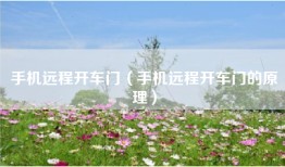 手机远程开车门（手机远程开车门的原理）