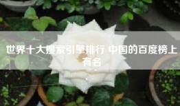 世界十大搜索引擎排行 中国的百度榜上有名
