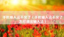 手机输入法不见了（手机输入法不见了怎样调出输入法）