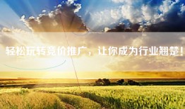轻松玩转竞价推广，让你成为行业翘楚！