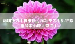 深圳华为手机维修（深圳华为手机维修服务中心地址查询）