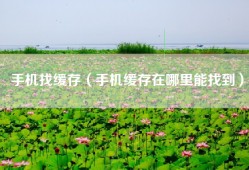 手机找缓存（手机缓存在哪里能找到）