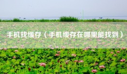 手机找缓存（手机缓存在哪里能找到）