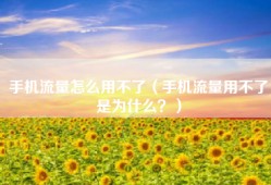 手机流量怎么用不了（手机流量用不了是为什么？）