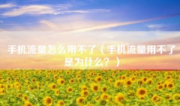 手机流量怎么用不了（手机流量用不了是为什么？）