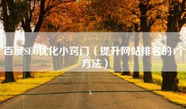 百度SEO优化小窍门（提升网站排名的4个方法）