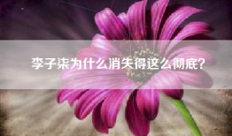 李子柒为什么消失得这么彻底？