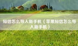 短信怎么导入新手机（苹果短信怎么导入新手机）