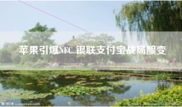 苹果引爆NFC 银联支付宝战局酿变